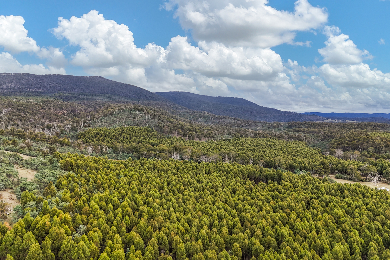 241 Williams Road, Royal George