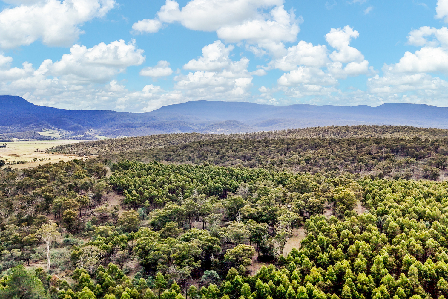 241 Williams Road, Royal George