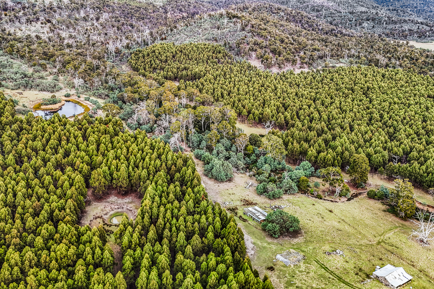 241 Williams Road, Royal George