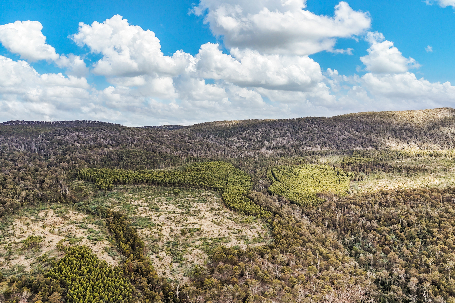 241 Williams Road, Royal George