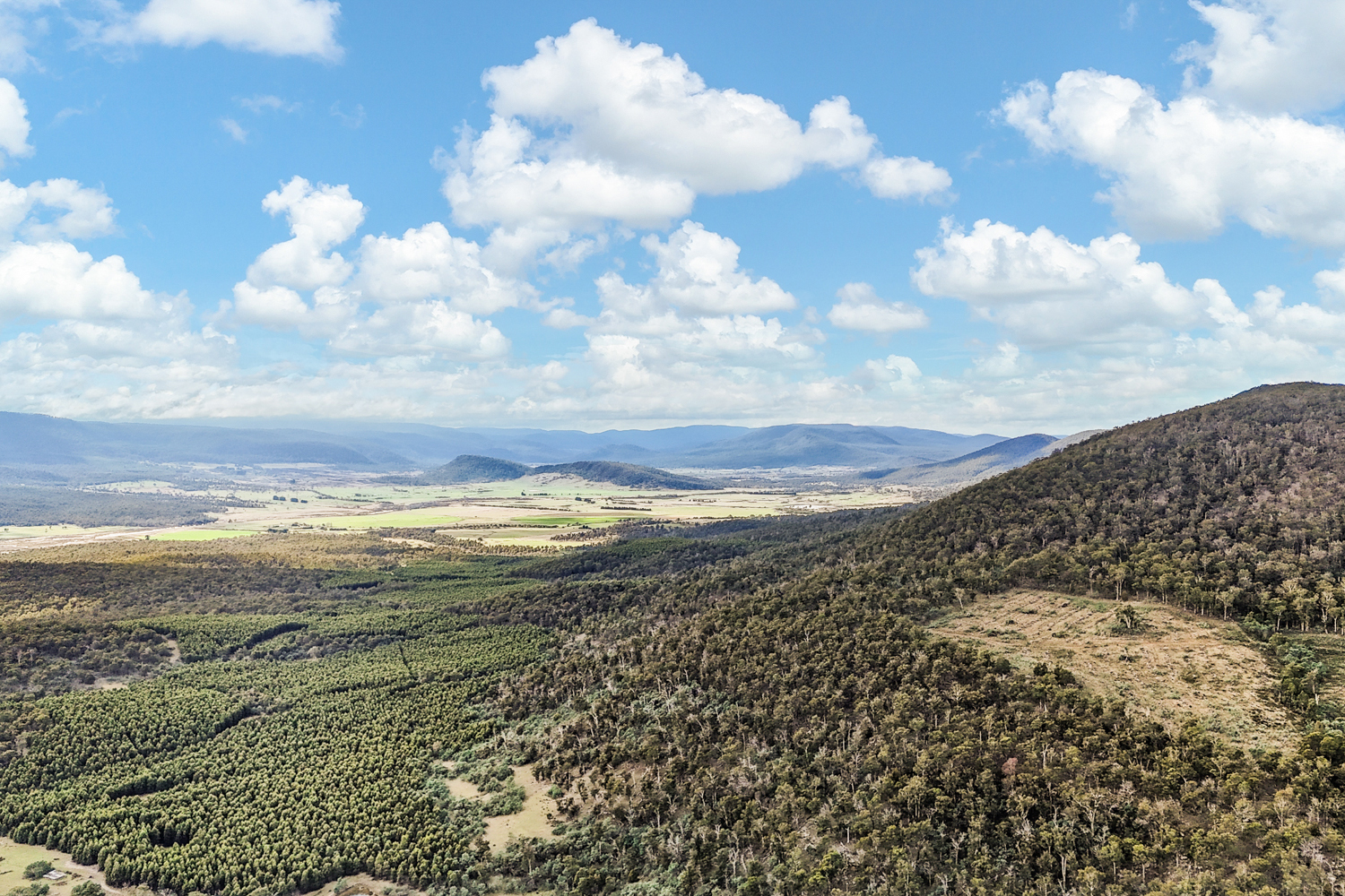 241 Williams Road, Royal George