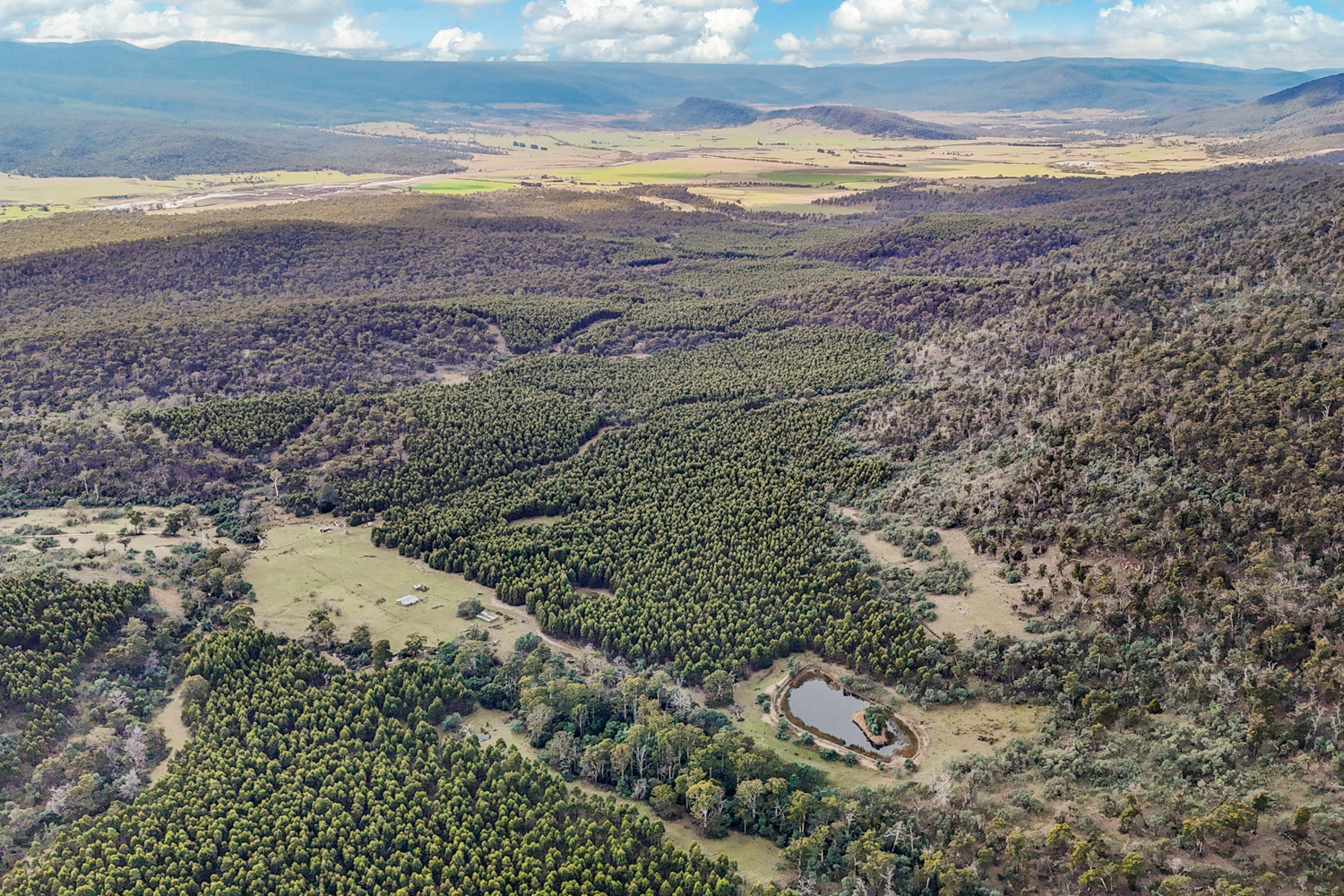 241 Williams Road, Royal George