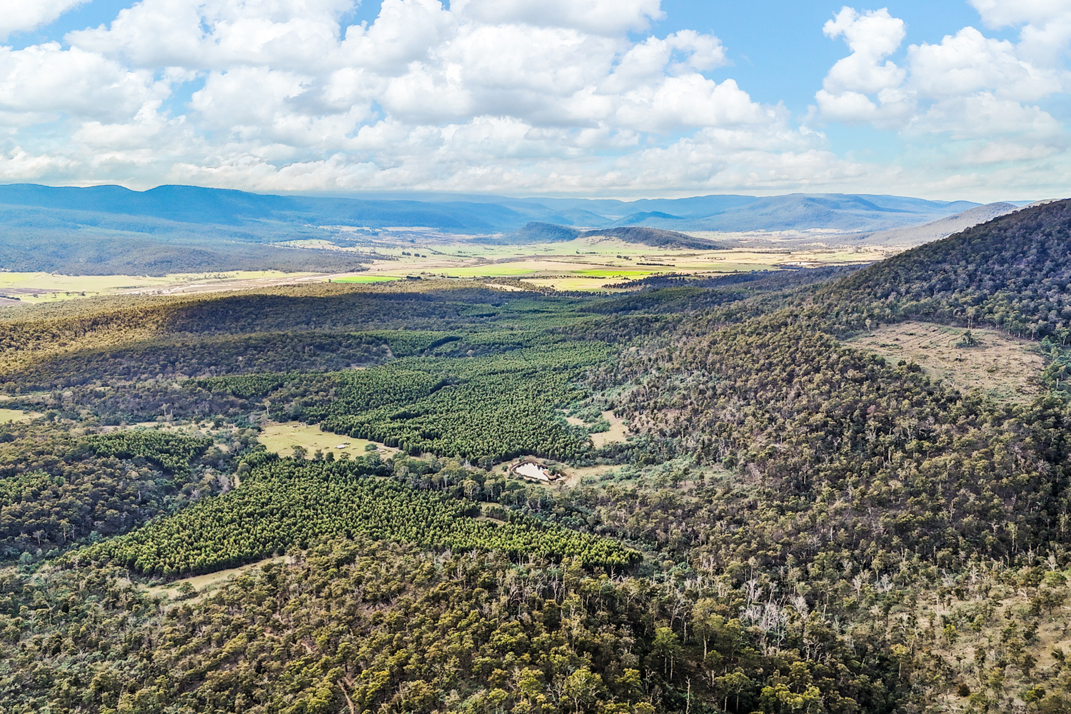 241 Williams Road, Royal George