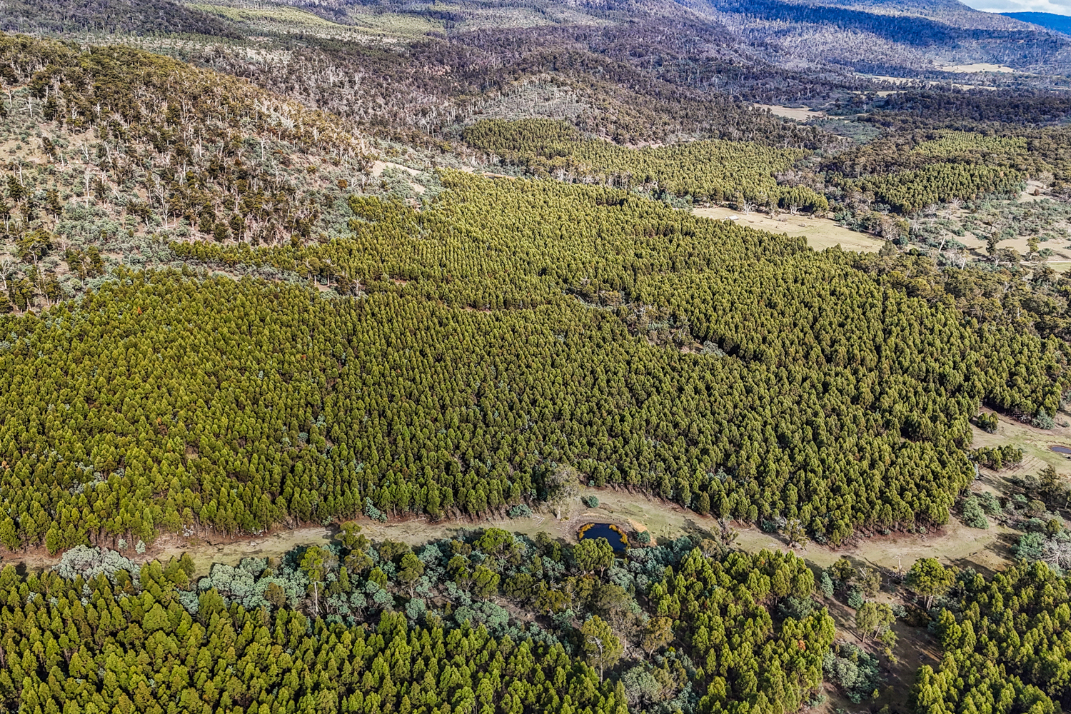 241 Williams Road, Royal George