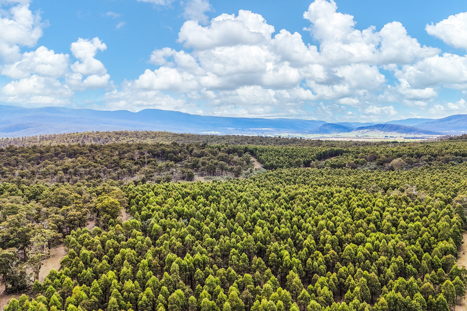 241 Williams Road, Royal George