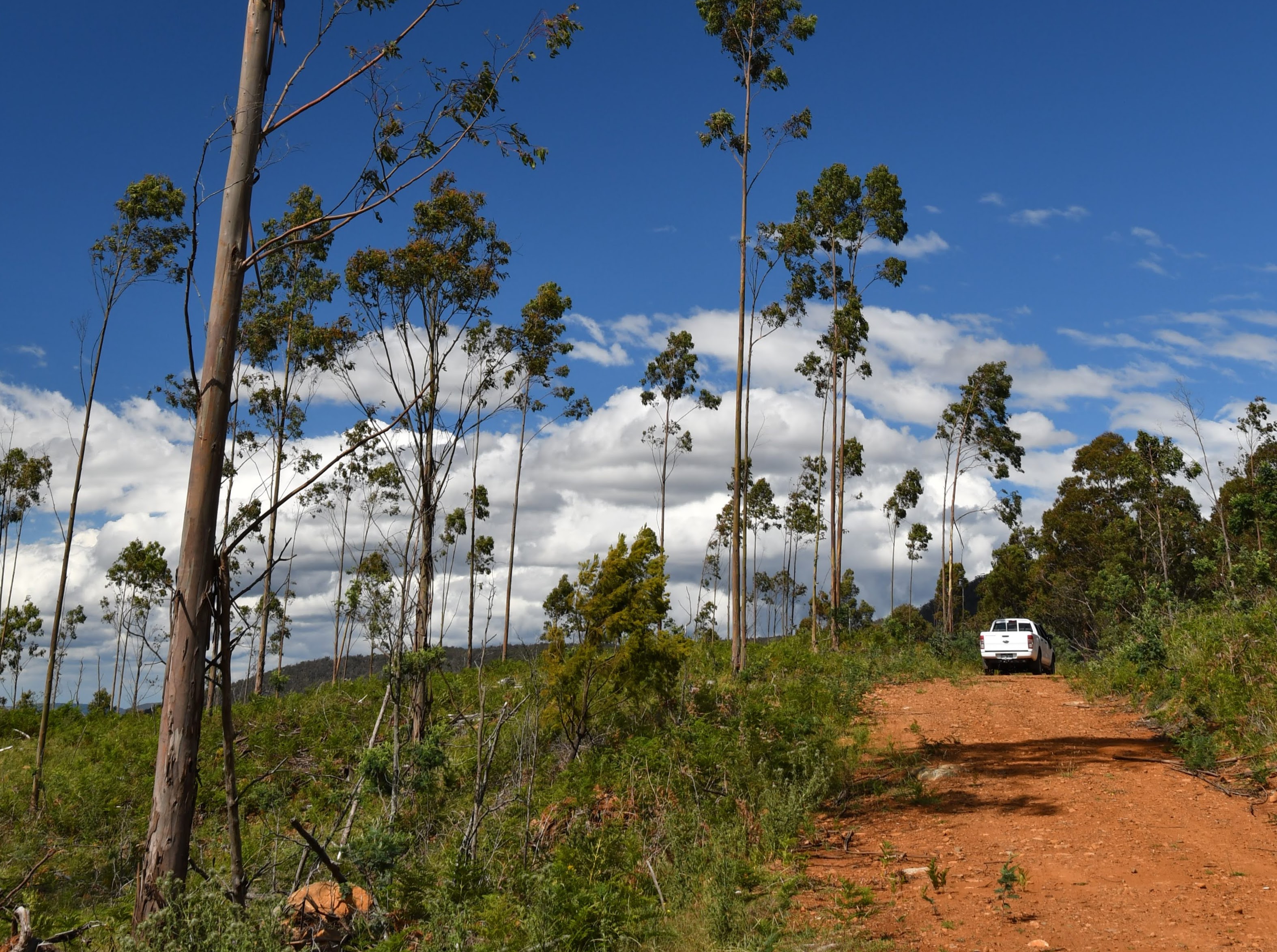 241 Williams Road, Royal George