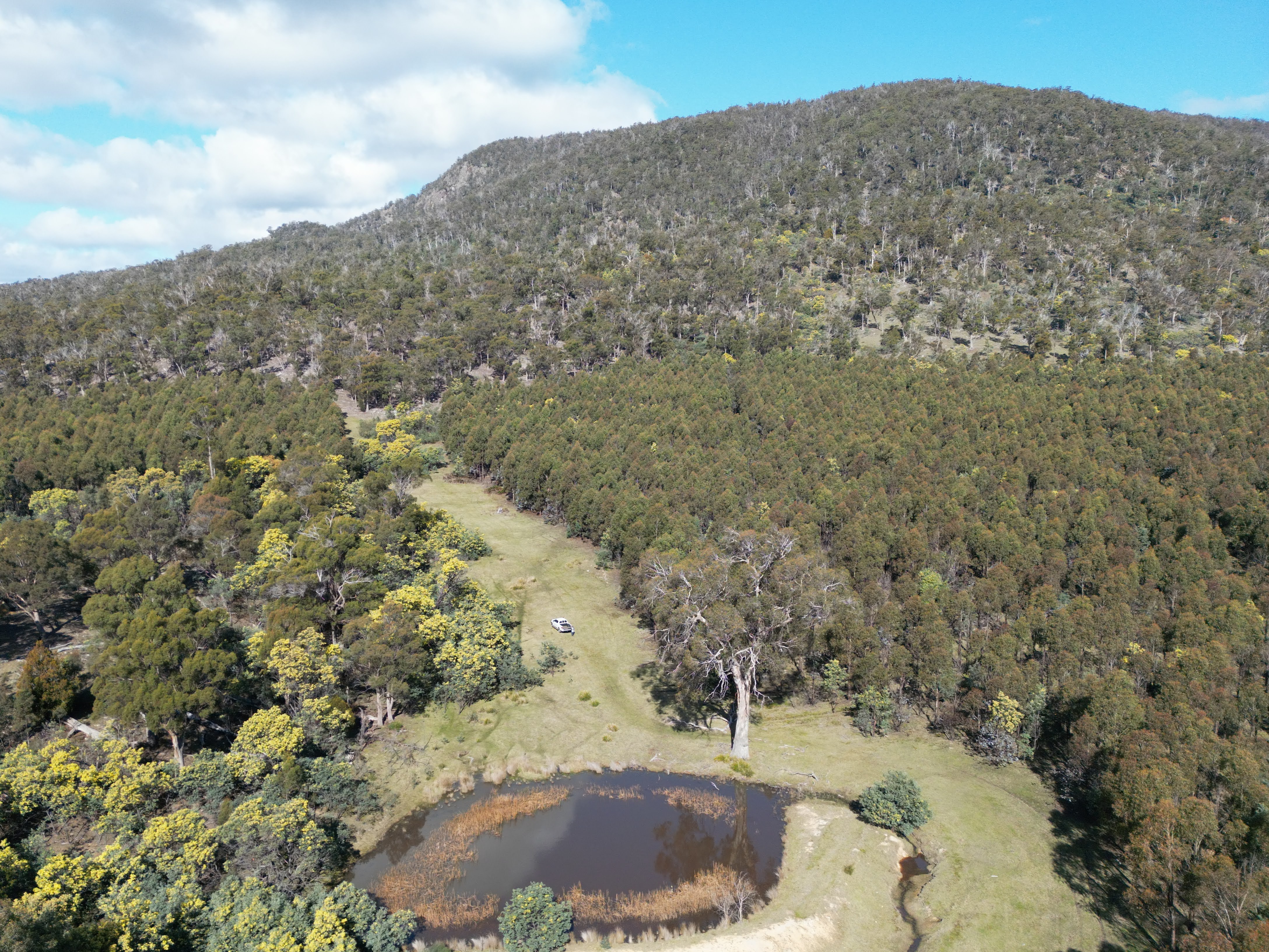 241 Williams Road, Royal George