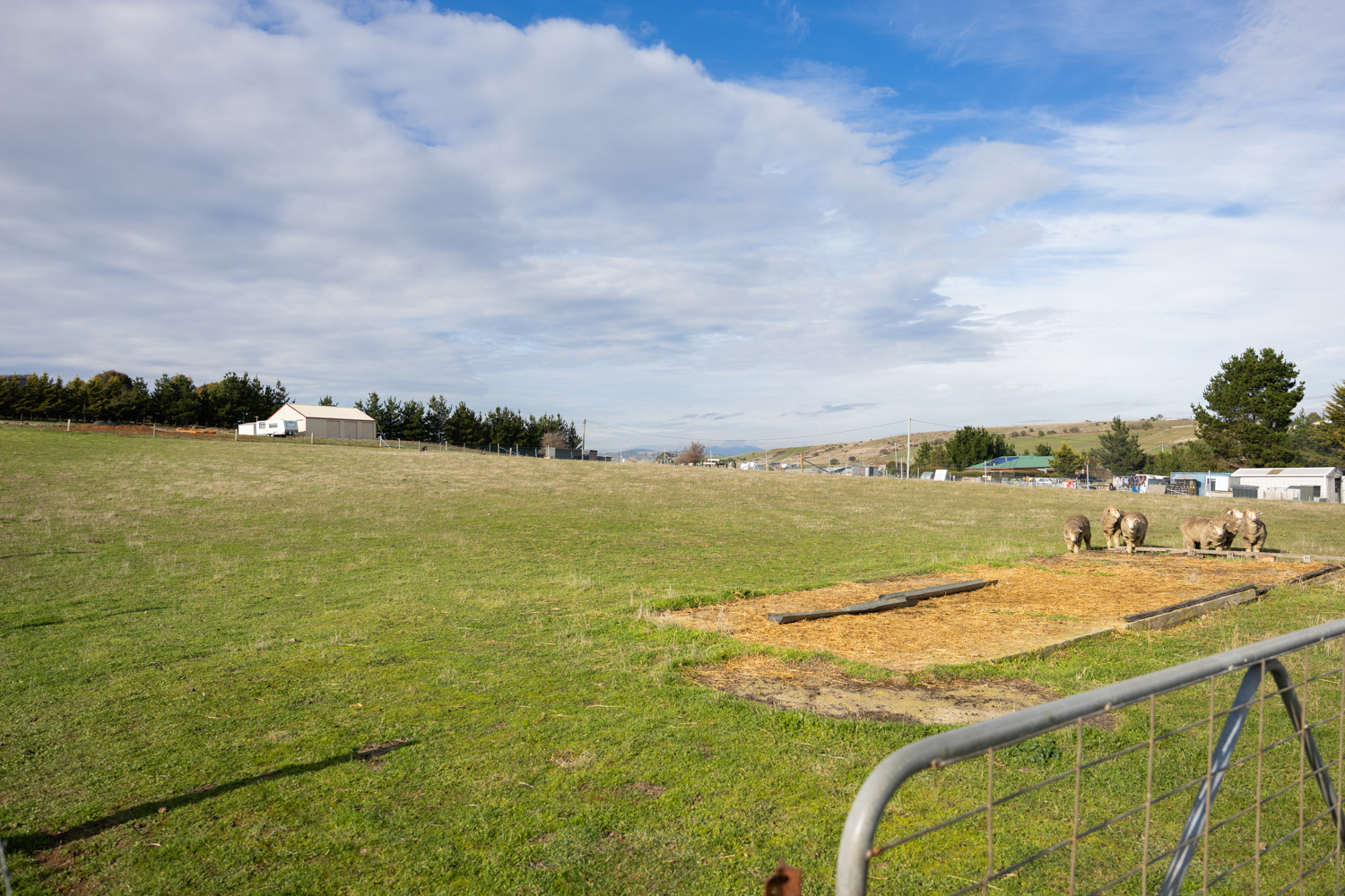 7 Waterloo Street, Ross