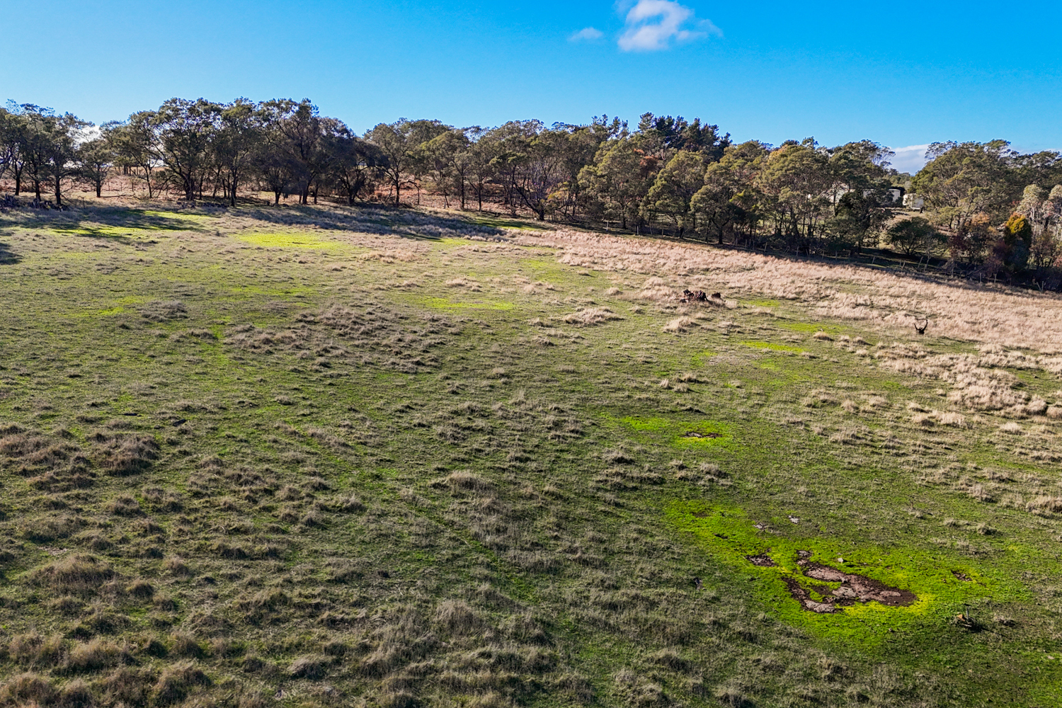 31 Minerva Drive, Perth