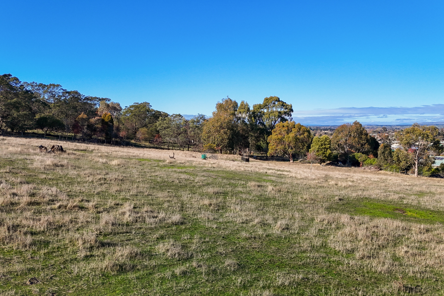 31 Minerva Drive, Perth