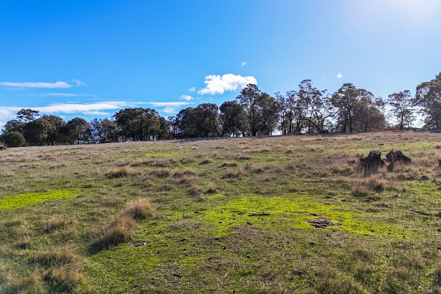 31 Minerva Drive, Perth