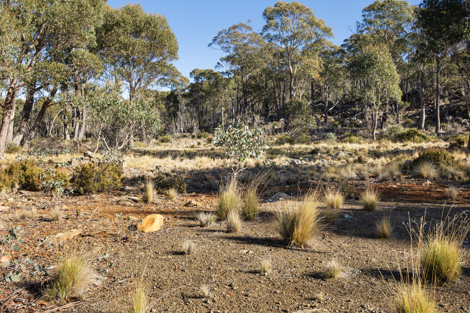 'Old Breona Fire Station' Highland Lakes Road, Brandum