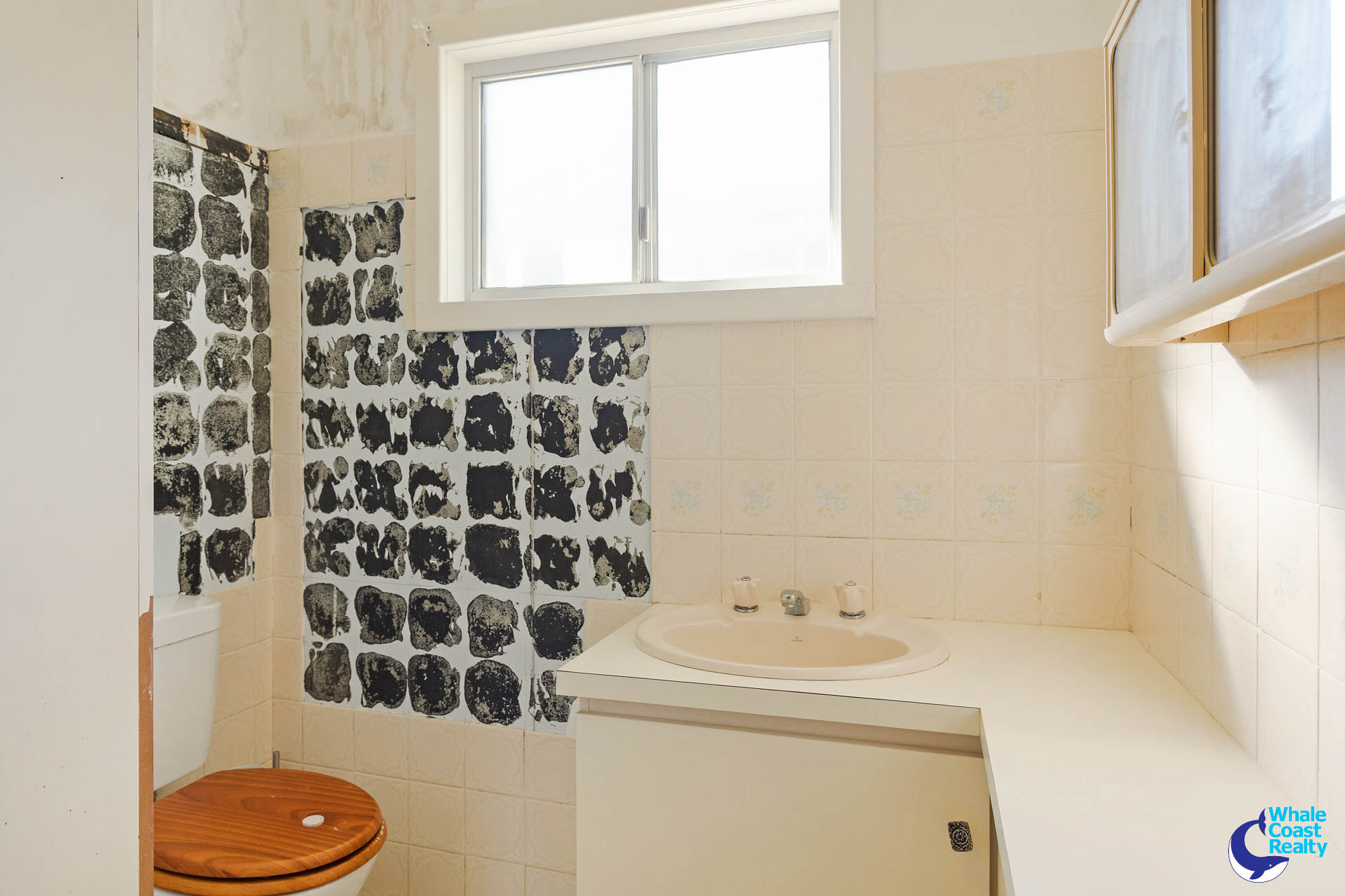 21 THE LOOP, Narooma