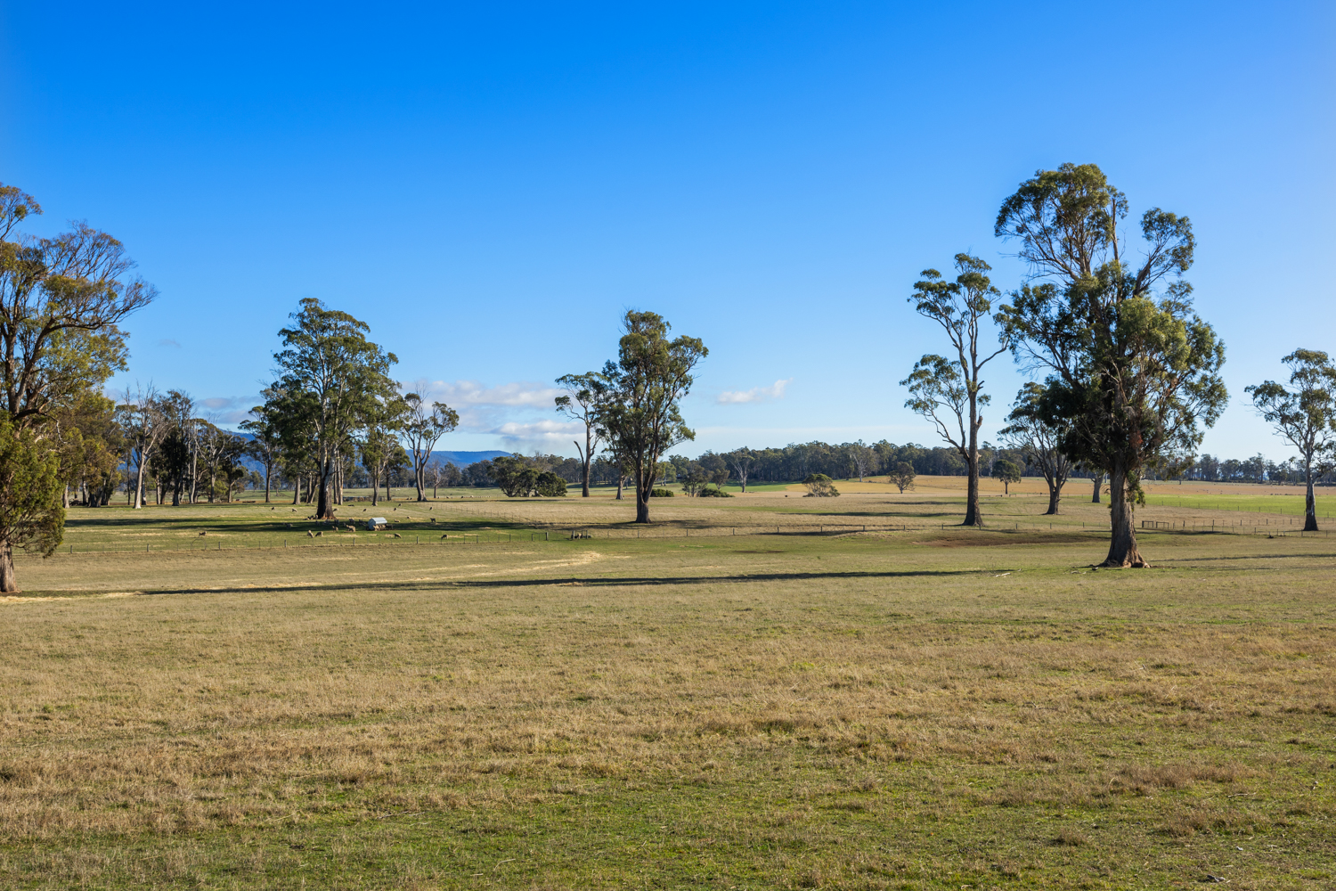 785 Elphinstone Road, Cressy