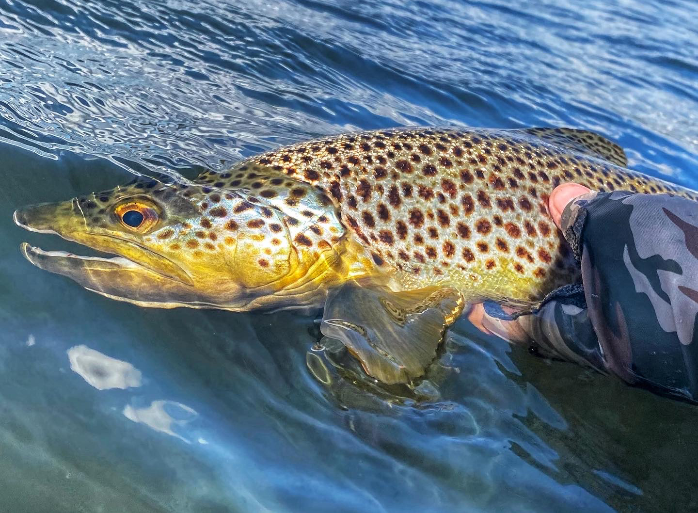 58 Laycock Drive, Interlaken