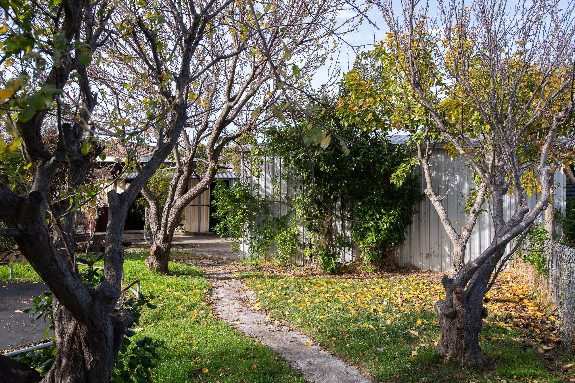 7 Gee Avenue, George Town