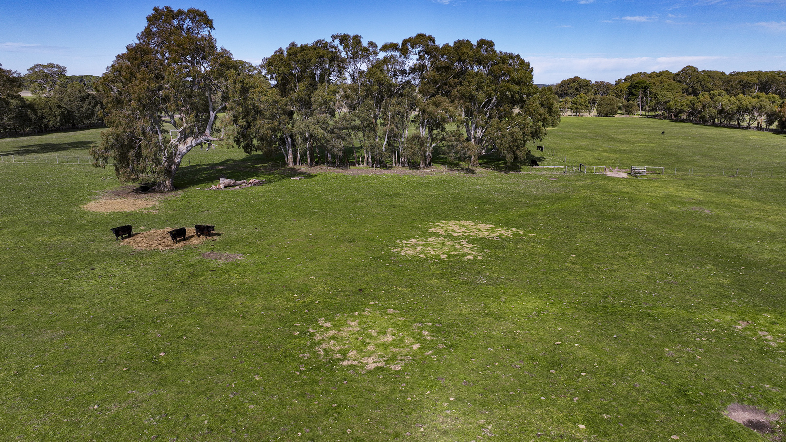Section 115 Chuck Road, Tarpeena