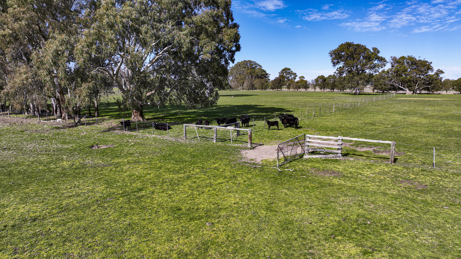 Section 115 Chuck Road, Tarpeena