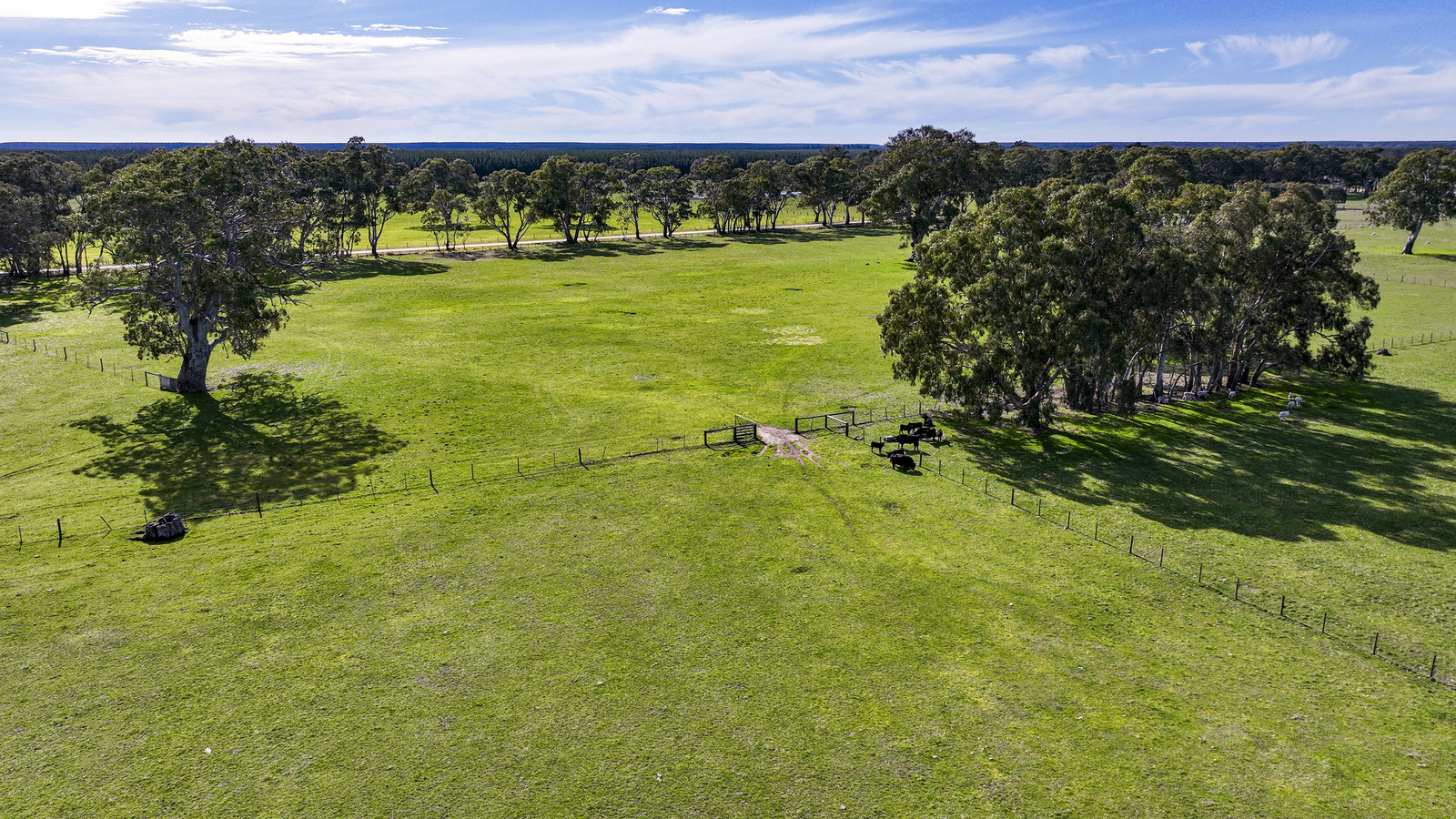 Section 115 Chuck Road, Tarpeena
