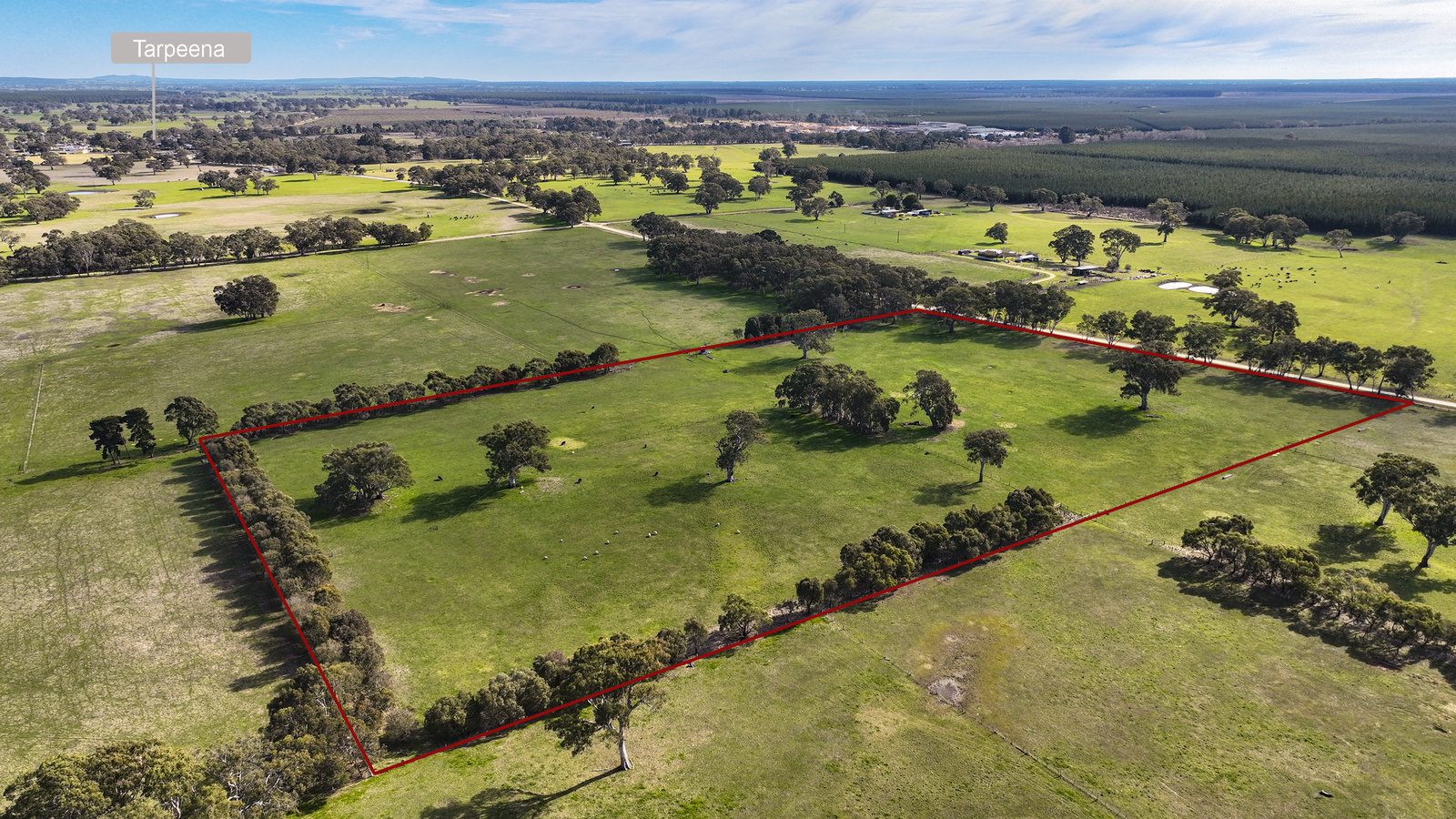 Section 115 Chuck Road, Tarpeena