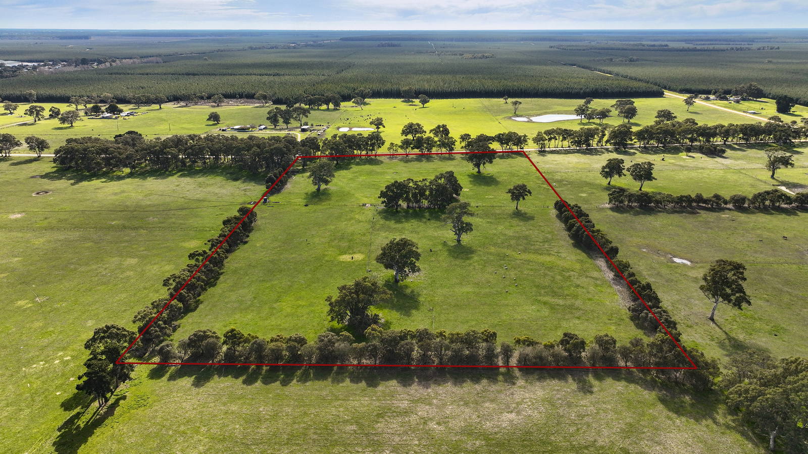 Section 115 Chuck Road, Tarpeena