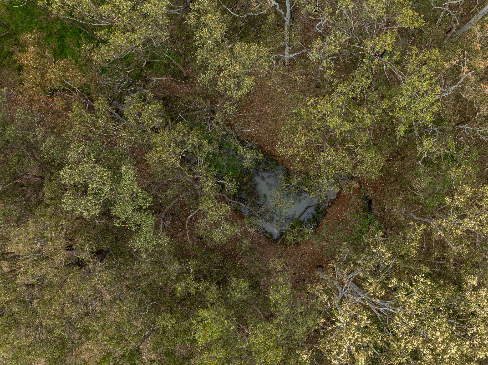 24 Pozieres Street, Tumoulin