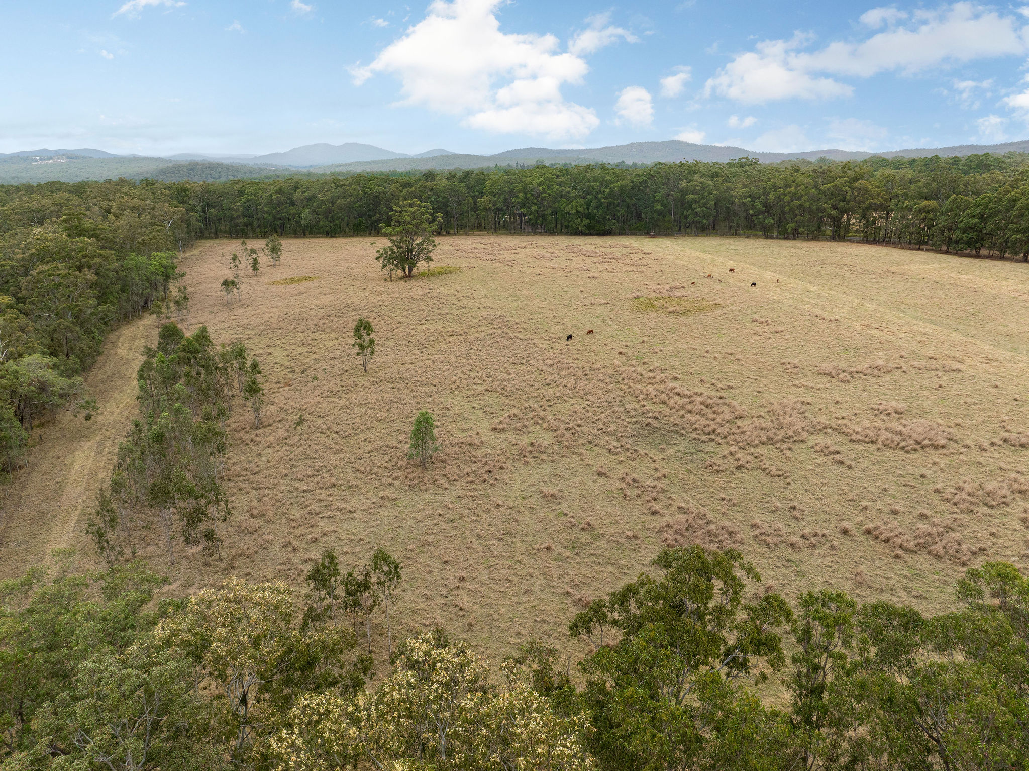 24 Pozieres Street, Tumoulin
