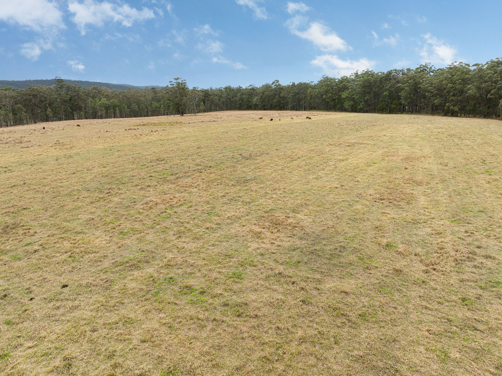 24 Pozieres Street, Tumoulin