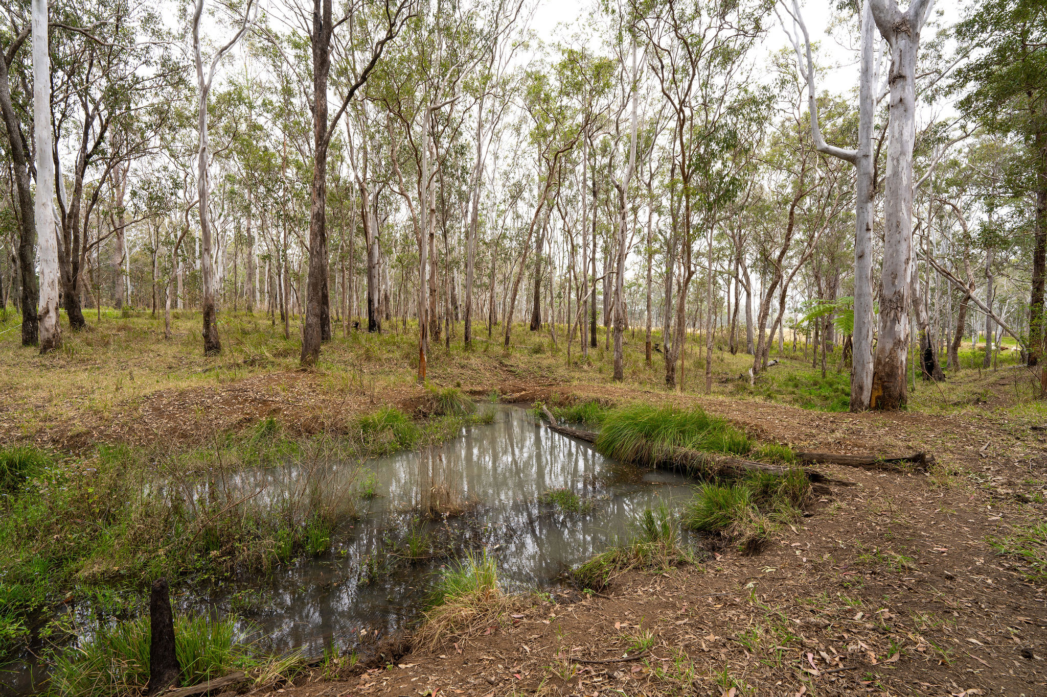 24 Pozieres Street, Tumoulin