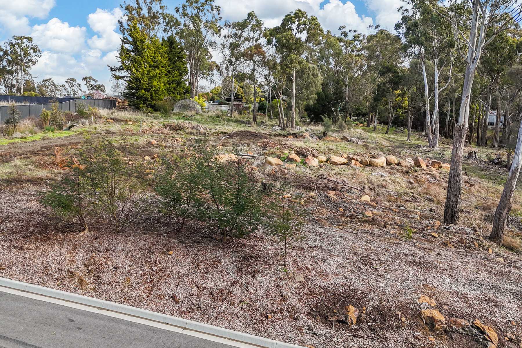 64 Peel Street West, West Launceston