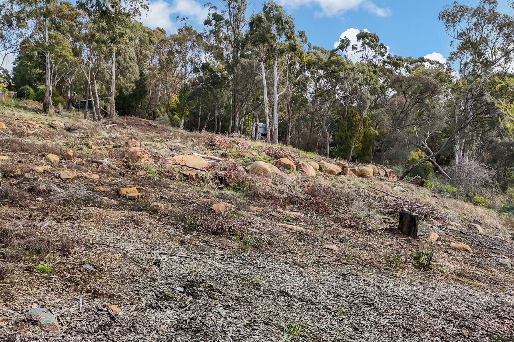 64 Peel Street West, West Launceston