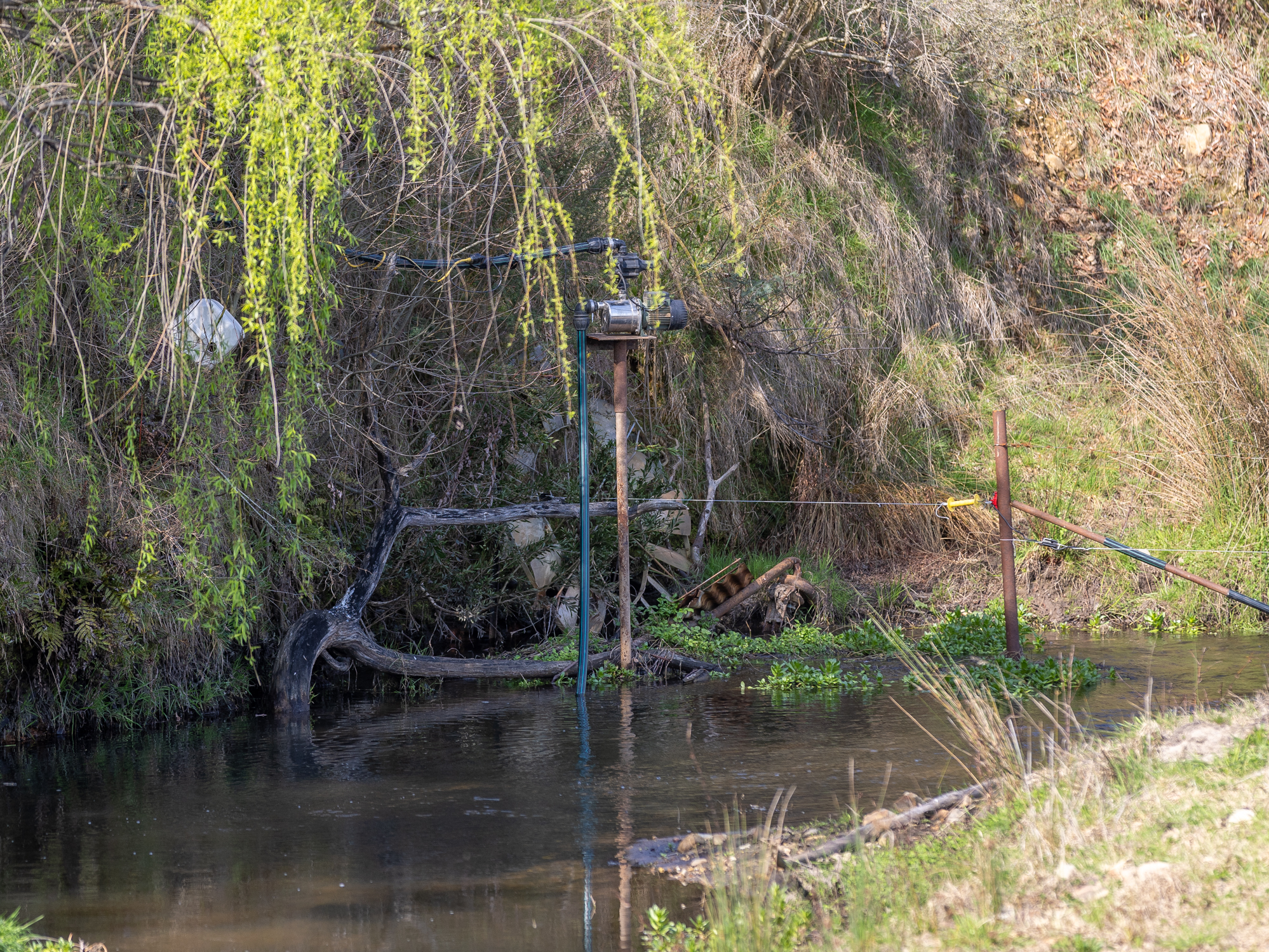 82 Pettifers Road, Edi Upper