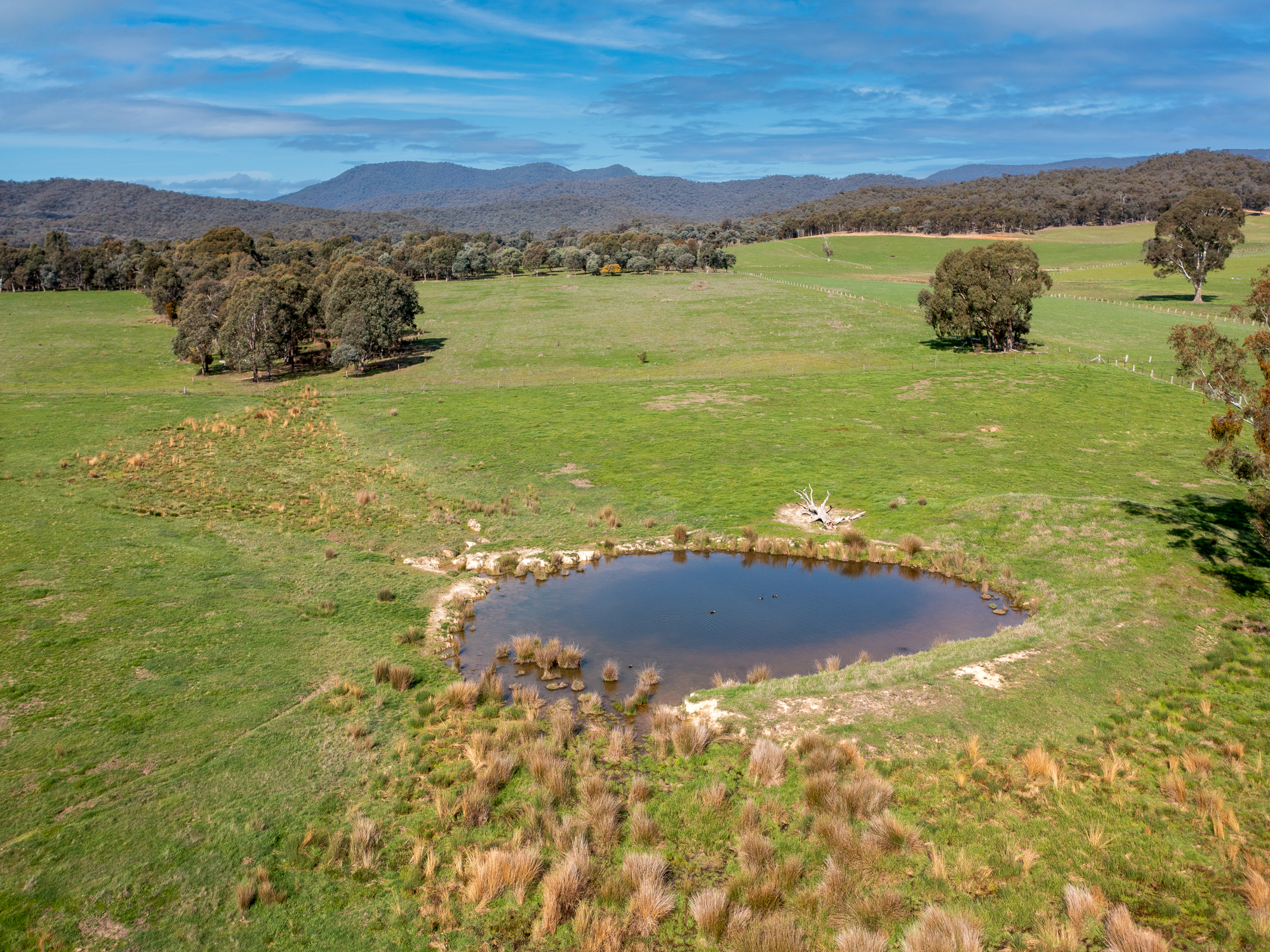 82 Pettifers Road, Edi Upper