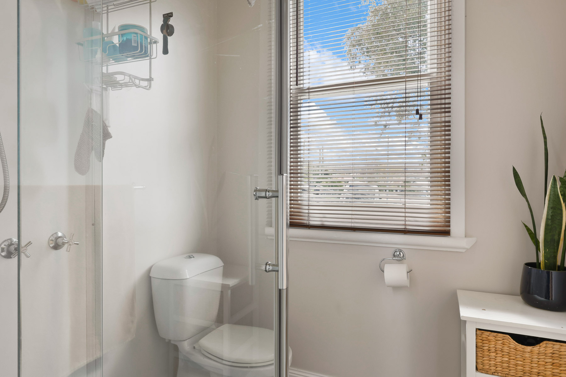 5 Jackson Street, Mowbray