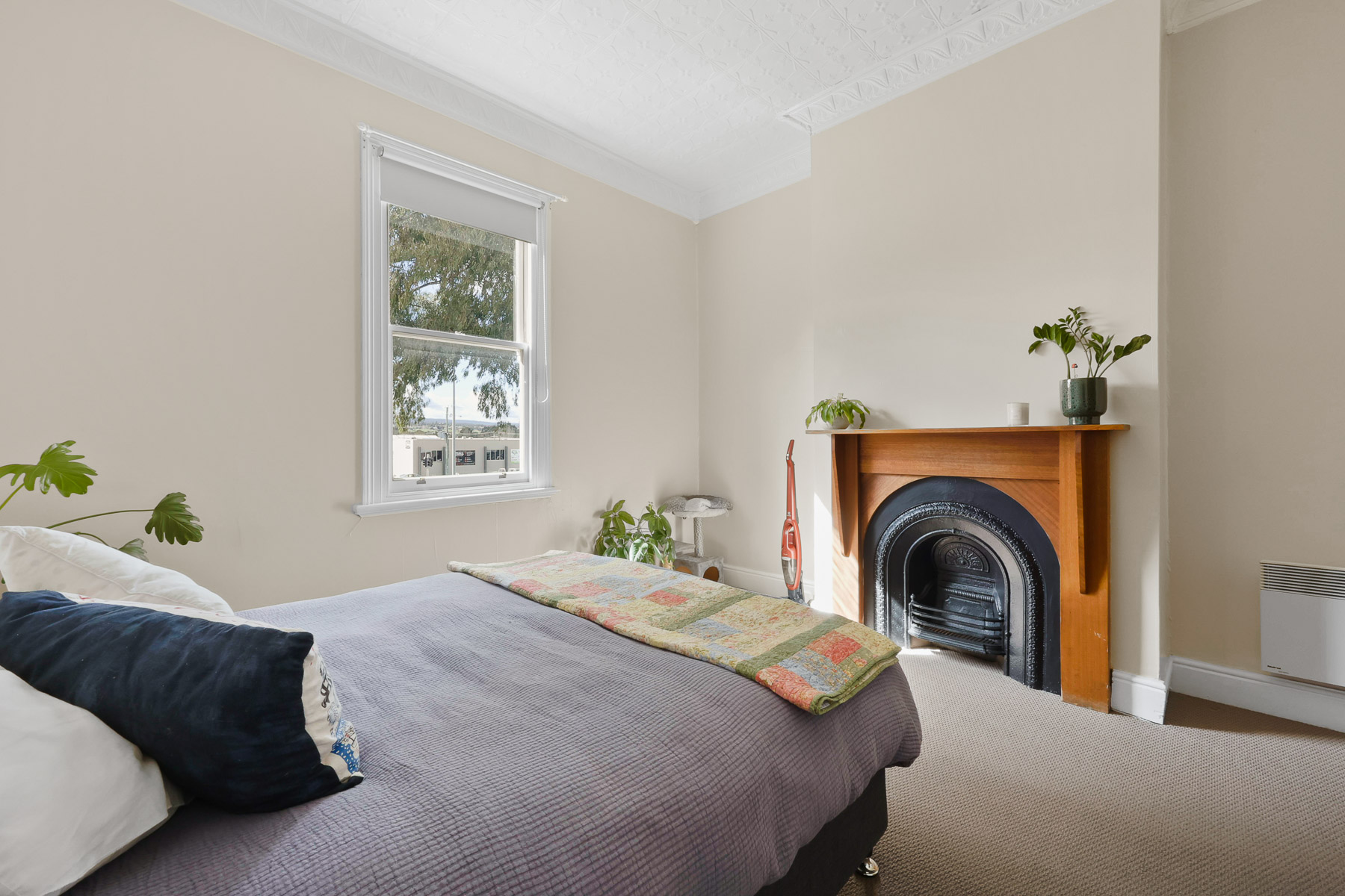 5 Jackson Street, Mowbray