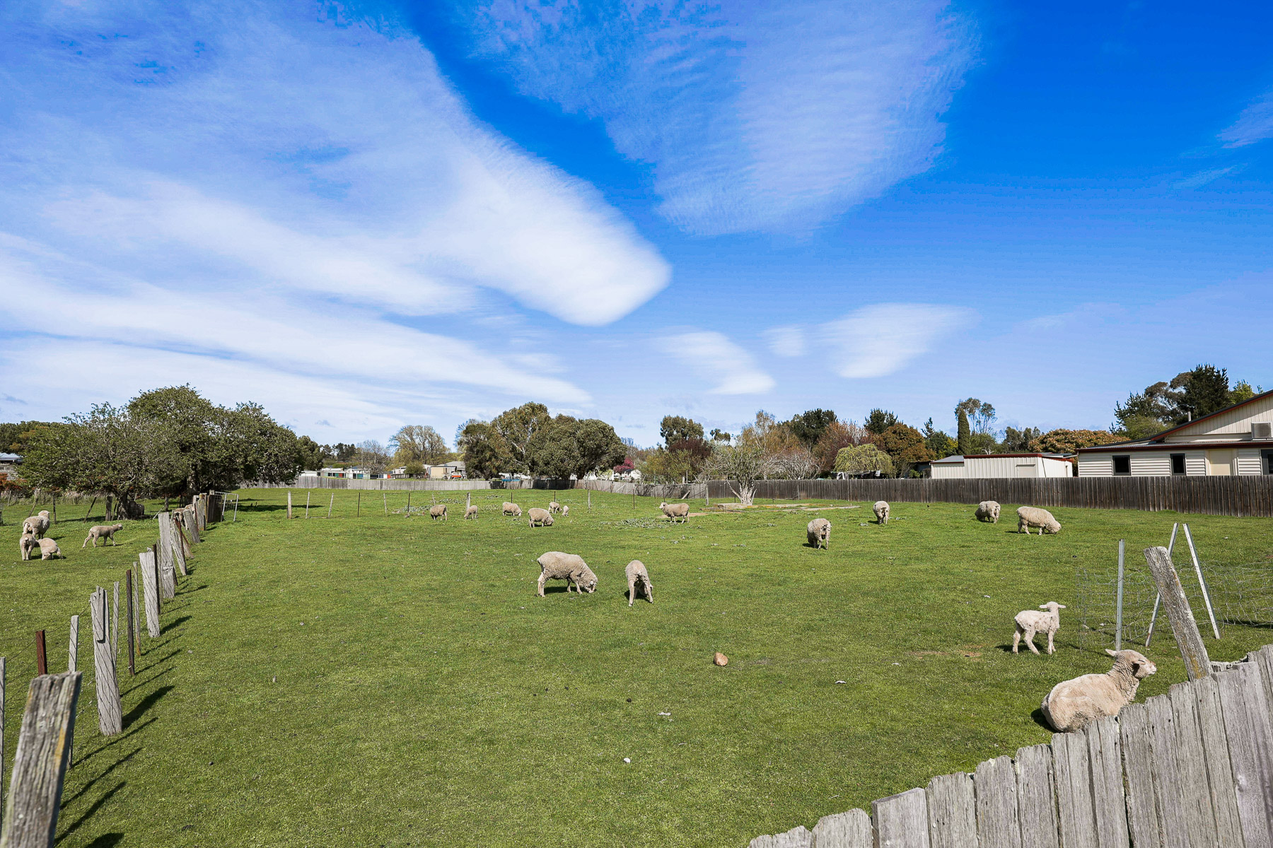 5 Franklin Street, Campbell Town