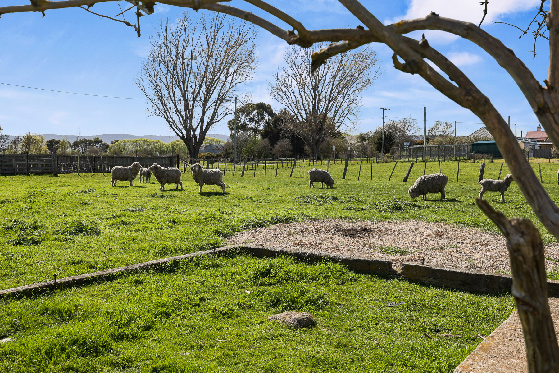 5 Franklin Street, Campbell Town