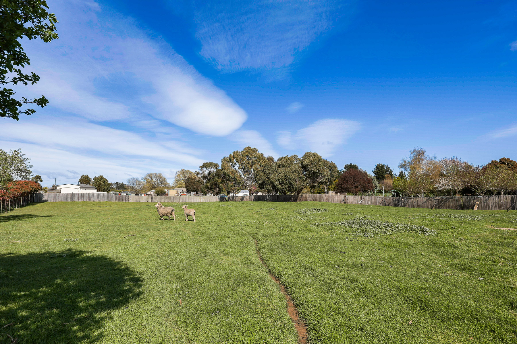 5 Franklin Street, Campbell Town