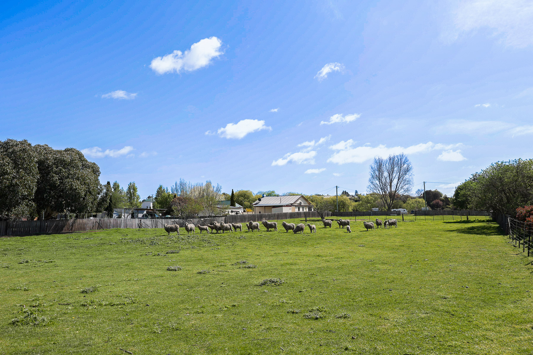 5 Franklin Street, Campbell Town