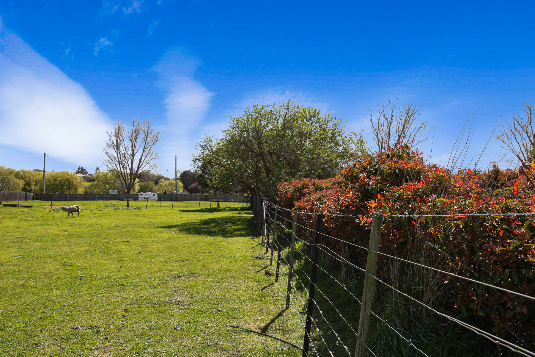 5 Franklin Street, Campbell Town