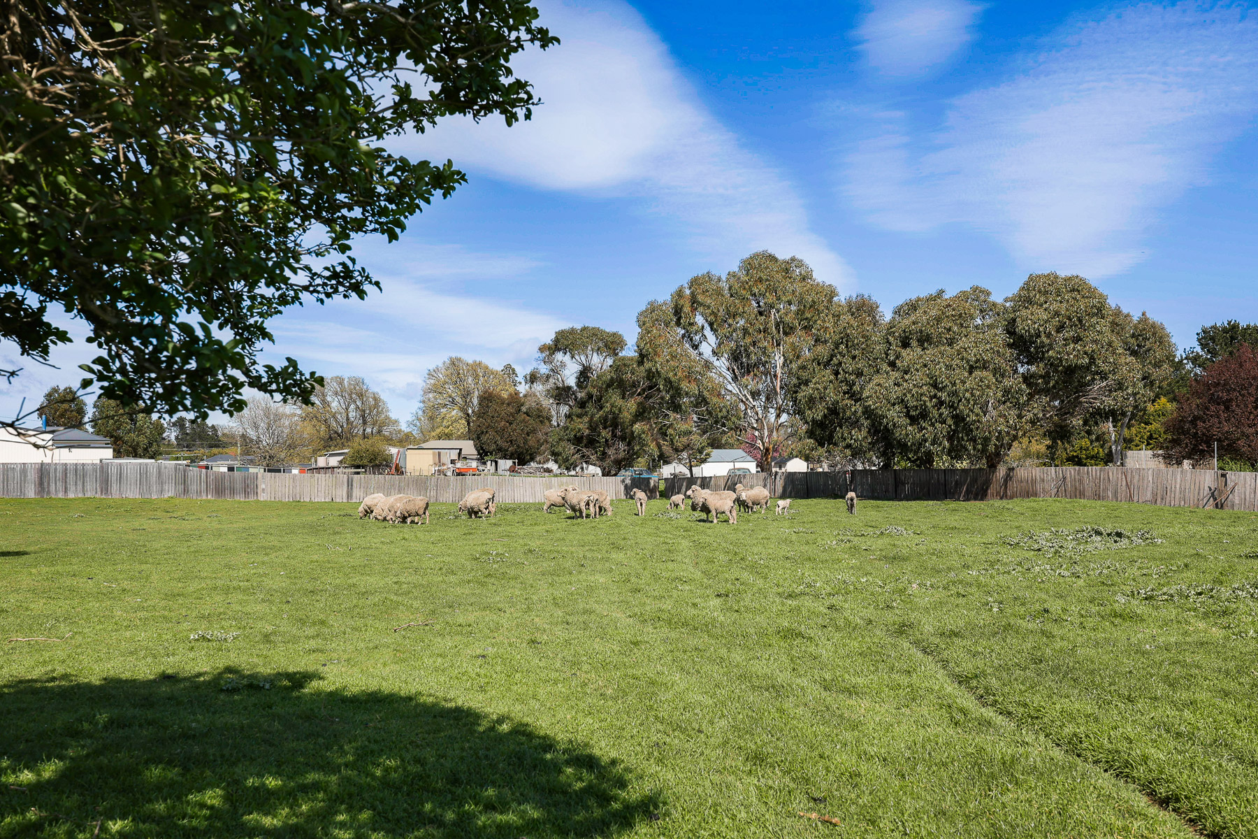 5 Franklin Street, Campbell Town