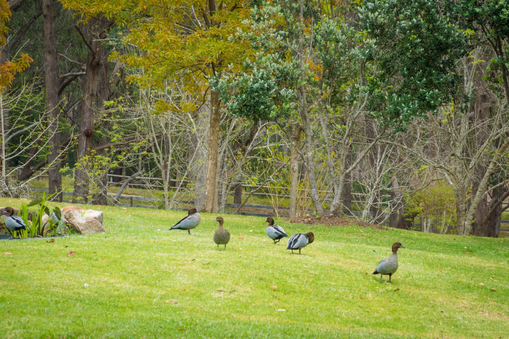 71 COILA CREEK ROAD, Coila