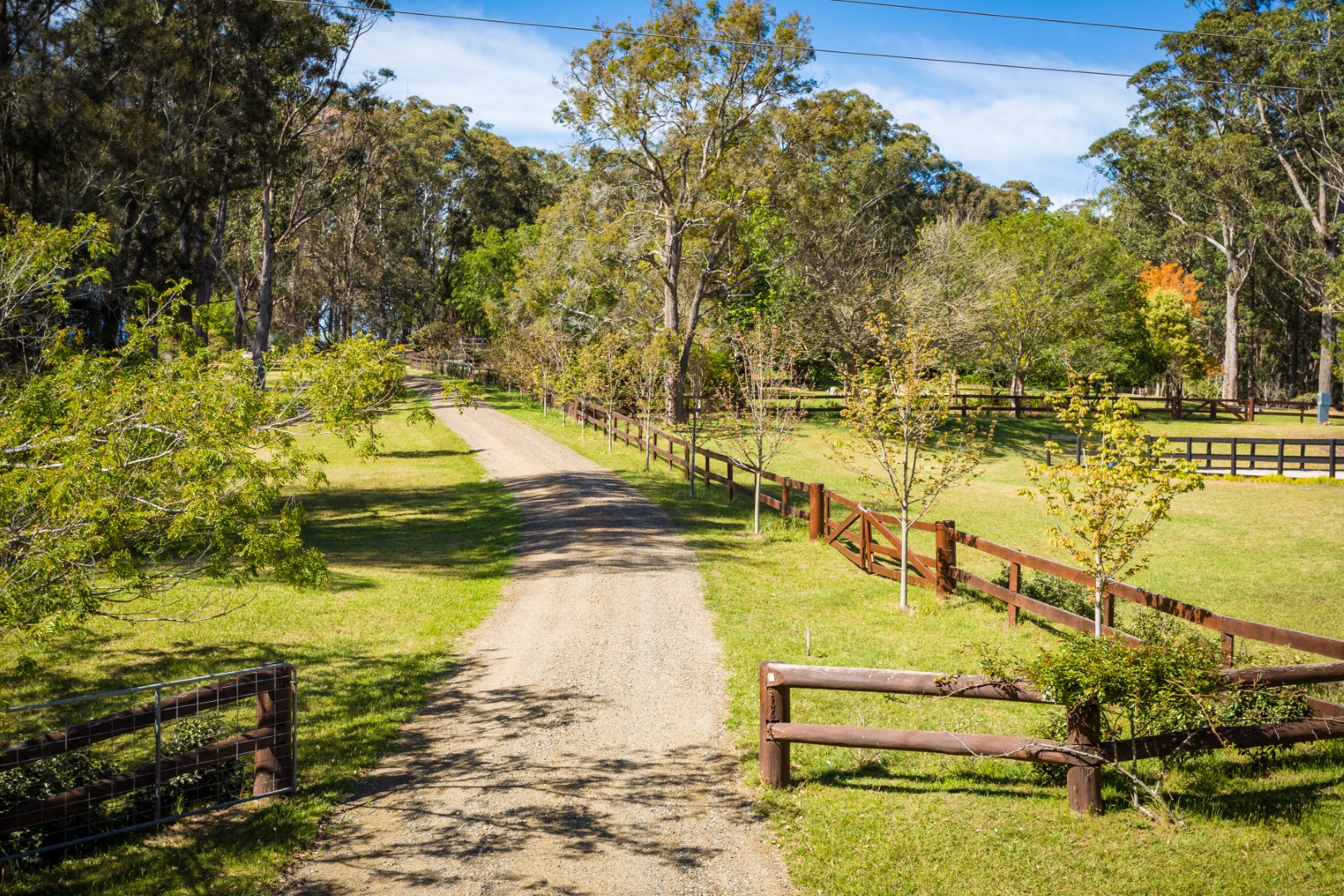 71 COILA CREEK ROAD, Coila