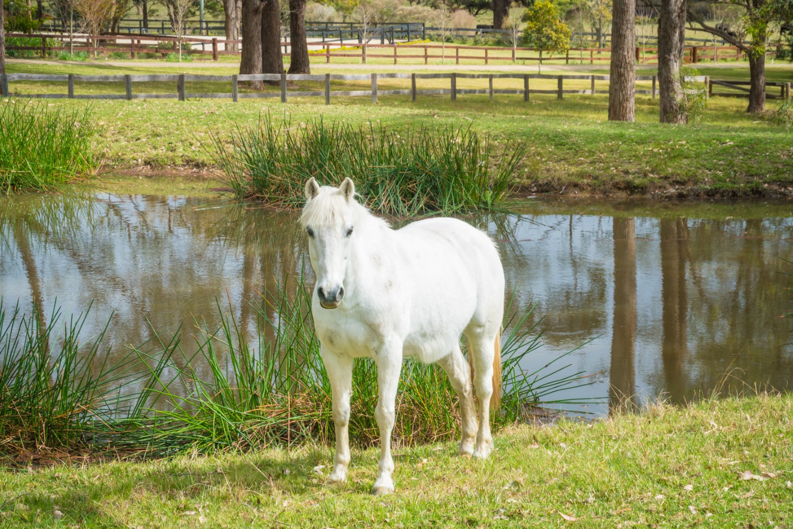 71 COILA CREEK ROAD, Coila