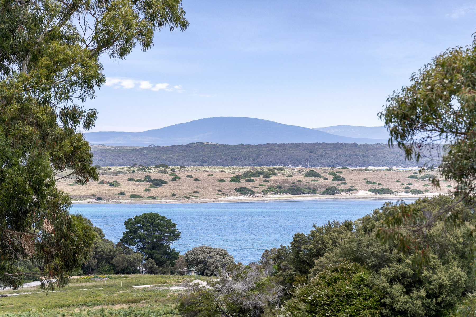 57A Franklin Parade, Lady Barron