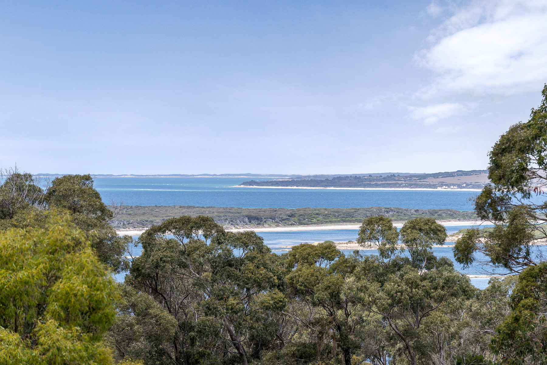 57A Franklin Parade, Lady Barron