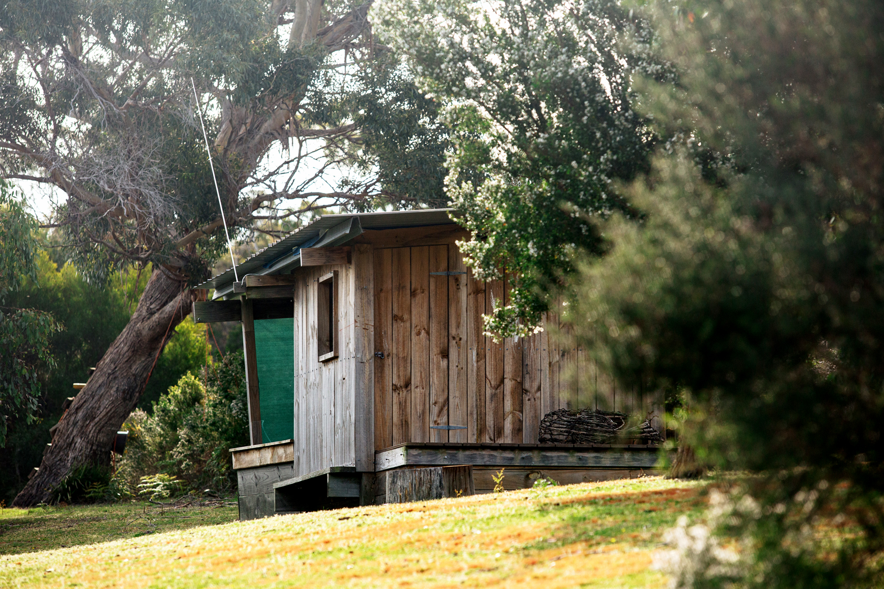 57A Franklin Parade, Lady Barron