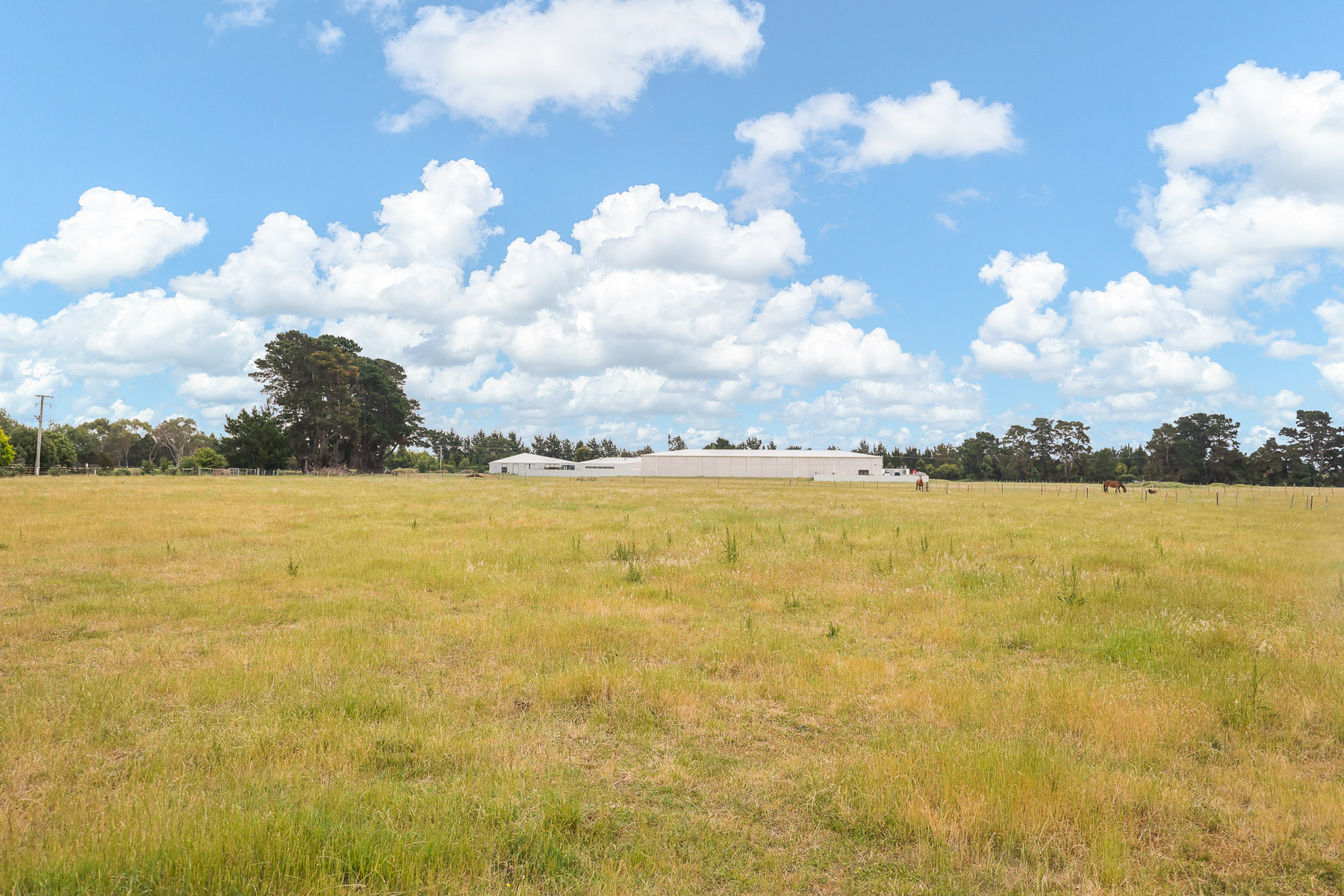 39 Peel Street, Longford