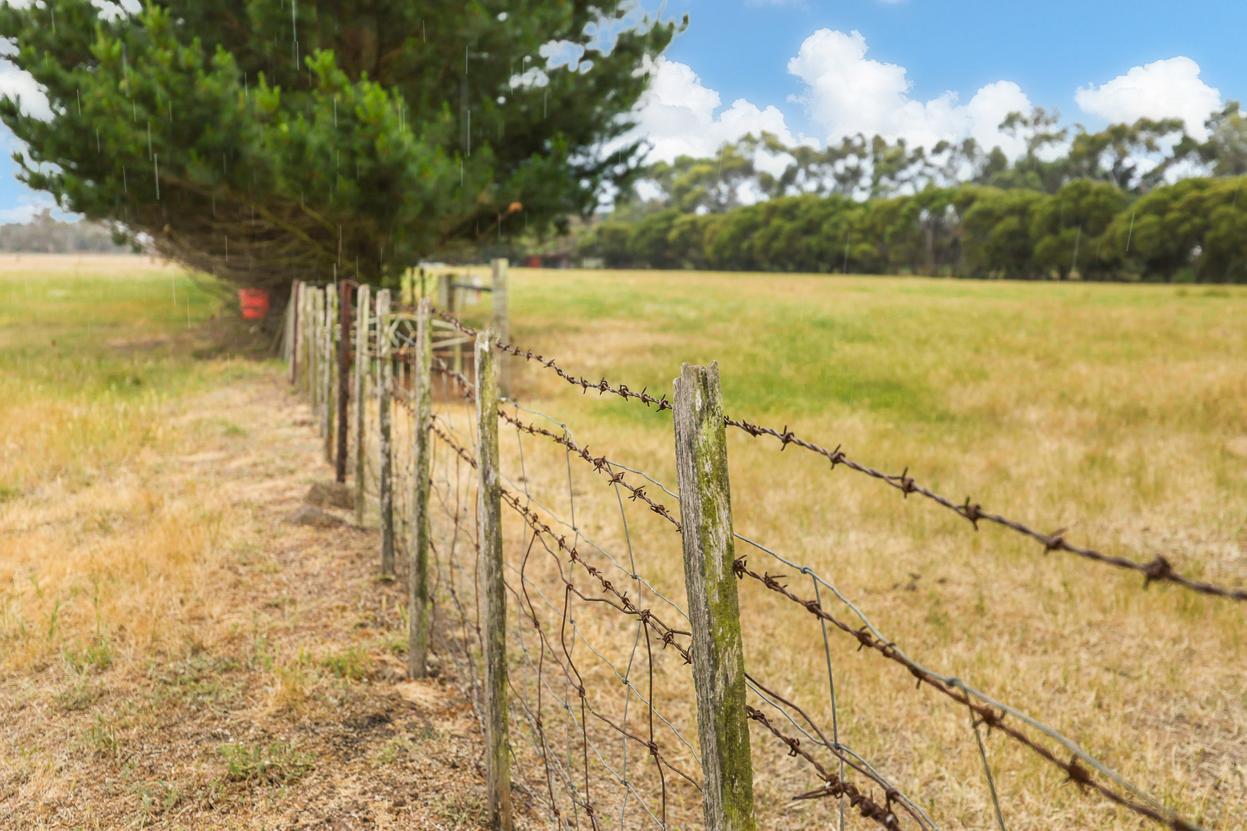39 Peel Street, Longford