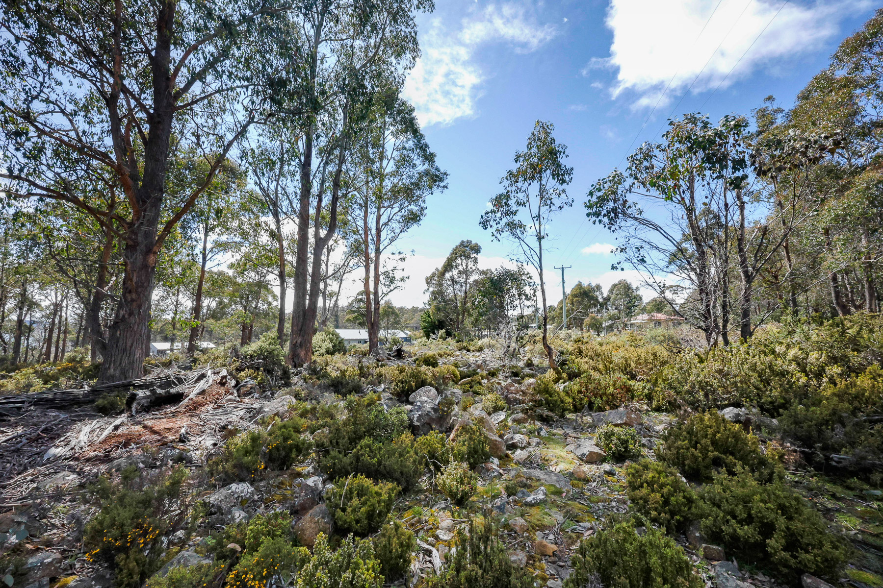 22 Arthurs Lake Road, Wilburville